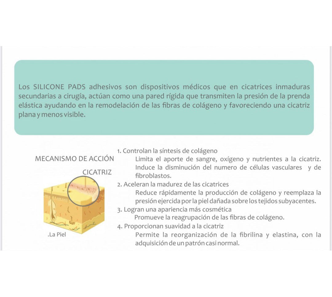 BANDA ABDOMINOPLASTIA ADHESIVO CICATRIZANTE POSTOPERATORIO FAJATE