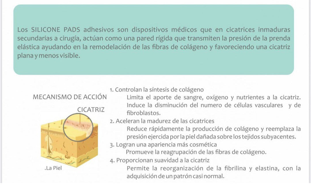 Adhesivo mamoplastia cicatrizante fajate ancla bandas